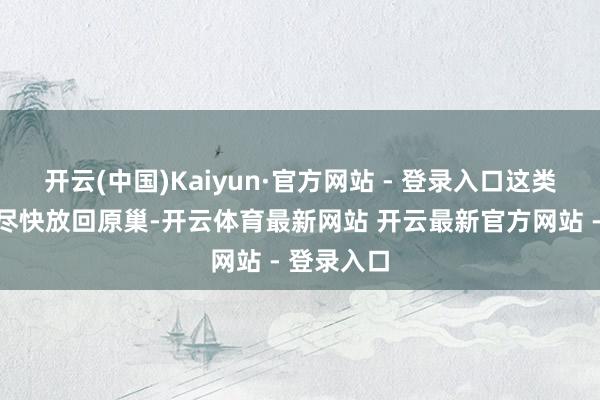 开云(中国)Kaiyun·官方网站 - 登录入口这类幼鸟需要尽快放回原巢-开云体育最新网站 开云最新官方网站 - 登录入口