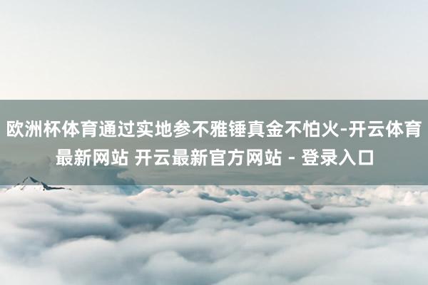 欧洲杯体育通过实地参不雅锤真金不怕火-开云体育最新网站 开云最新官方网站 - 登录入口