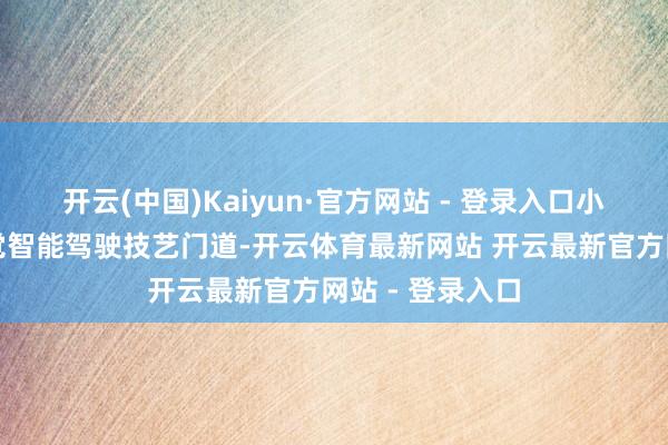 开云(中国)Kaiyun·官方网站 - 登录入口小鹏选择了纯视觉智能驾驶技艺门道-开云体育最新网站 开云最新官方网站 - 登录入口