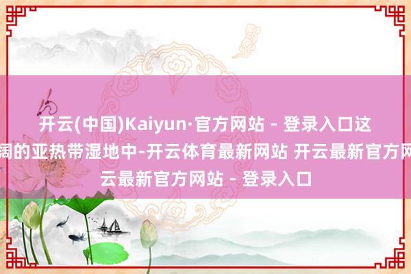 开云(中国)Kaiyun·官方网站 - 登录入口这里位于一派宽阔的亚热带湿地中-开云体育最新网站 开云最新官方网站 - 登录入口
