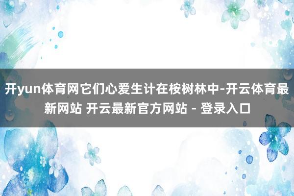 开yun体育网它们心爱生计在桉树林中-开云体育最新网站 开云最新官方网站 - 登录入口