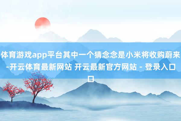 体育游戏app平台其中一个猜念念是小米将收购蔚来-开云体育最新网站 开云最新官方网站 - 登录入口