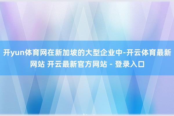 开yun体育网在新加坡的大型企业中-开云体育最新网站 开云最新官方网站 - 登录入口