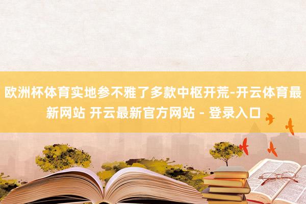 欧洲杯体育实地参不雅了多款中枢开荒-开云体育最新网站 开云最新官方网站 - 登录入口