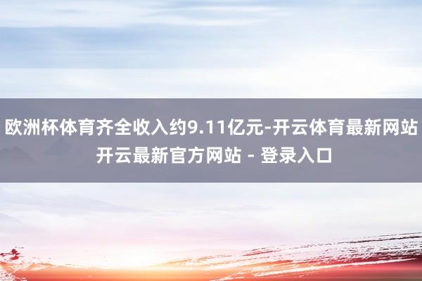 欧洲杯体育齐全收入约9.11亿元-开云体育最新网站 开云最新官方网站 - 登录入口