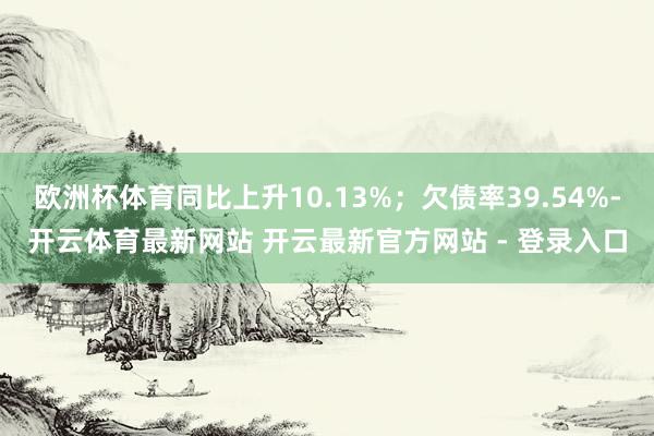 欧洲杯体育同比上升10.13%；欠债率39.54%-开云体育最新网站 开云最新官方网站 - 登录入口
