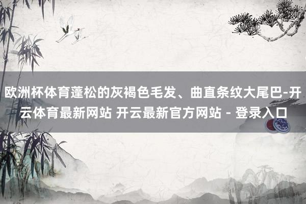 欧洲杯体育蓬松的灰褐色毛发、曲直条纹大尾巴-开云体育最新网站 开云最新官方网站 - 登录入口