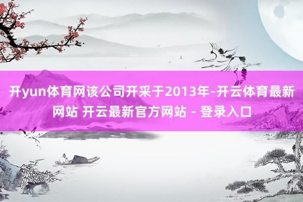 开yun体育网该公司开采于2013年-开云体育最新网站 开云最新官方网站 - 登录入口