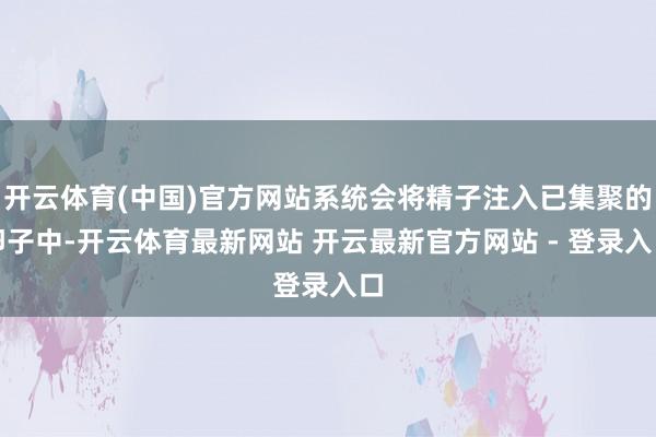 开云体育(中国)官方网站系统会将精子注入已集聚的卵子中-开云体育最新网站 开云最新官方网站 - 登录入口